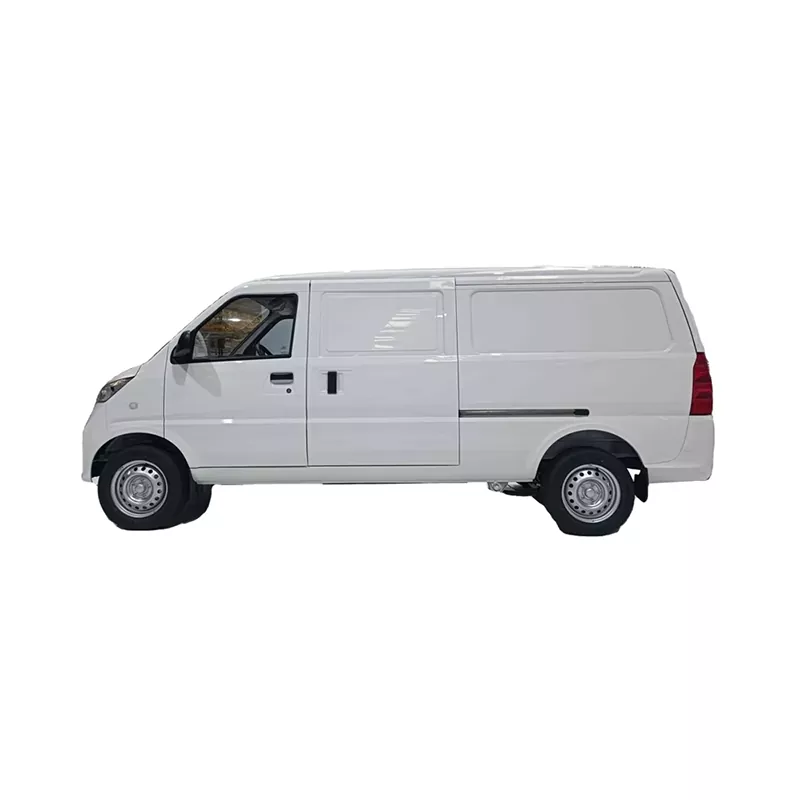 Rung g100 cargo van